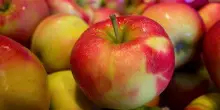 Fedagripesca: bene Masaf su avvio anticipato Frutta nelle scuole