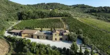 Vino, debutta Aminta, nuova Tenuta di Famiglia Cecchi a Montalcino