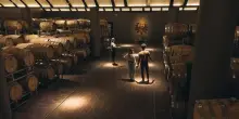 Vino, estate nel Chianti Classico con Pievasciata di Vallepicciola