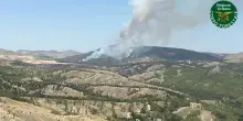 In Sicilia oggi registrati 83 incendi, Catania provincia più colpita