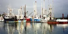 Uila: pesca sacrificata in proposta bilancio Ue