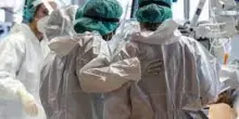 Iss: da inizio anno 10 casi di West Nile, 7 in provincia Latina