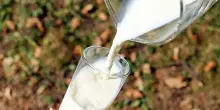 Confagri Toscana: linee guida latte crudo uccidono realtà montagna
