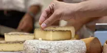 Formaggi a latte crudo, l’allarme di Slow Food su linee guida ministero