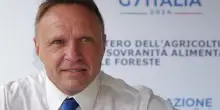 Cirò Classico Dop, Lollobrigida: vino pilastro made in Italy