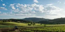 Umbria Top propone per l’estate rosati, Vermouth e cocktail di vino