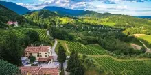 ”Cinema in Cantina”, Guidolin: sport e vino per cultura e territorio
