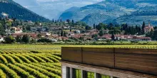 Cantina Buglioni: vino tra accoglienza ed enoturismo nel Veronese