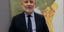 Dazi vino, Cons. Colli Euganei: in zone più fragili bioversità a rischio