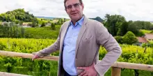 Vino, Cons. Conegliano Valdobbiadene: ottime prospettive per annata 2025