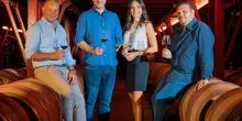 Vino, Cantina Librandi pubblica il Bilancio di sostenibilità 2024-2025