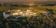 Vino, Cellai (Vallepicciola): ci aspettiamo “Perlinetto” straordinario