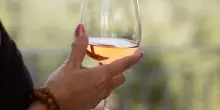 Consorzio Valtènesi: due eventi d’autunno tra vino e paesaggi gardesani