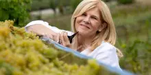 Vino, Zorzettig: nei Colli Orientali vendemmia da grande annata