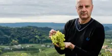 Dall’Acqua: continua crescita Prosecco Doc porta a spirale al ribasso