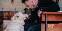 Al via Festival cinema dedicato ad animali, a Roma dal 24 al 28 setttembre