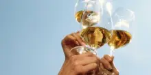 Vino, Consorzio Lugana tra arte, moda e design con due eventi a Milano