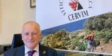 ”Mondial des Vins Extremes 2025”: assegnati 77 Grandi Ori e 221 Ori