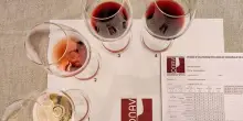 Vino, Onav entra nel Master Iulm di “Food and Wine Communication”