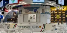 Afidop ad Anuga a Colonia con i formaggi italiani Dop