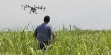 Federacma: filiera agricola pronta a usare droni per irrorazione