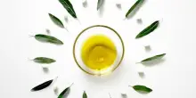 Assitol: raccolta olio 2025-26 a 300mila ton., cresce Sud