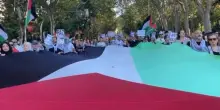 Sanchez: la pace non può significare impunità per il genocidio a Gaza