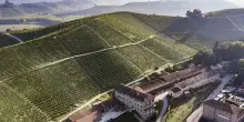 Vino, Fontanafredda presenta il Bilancio di Sostenibilità 2024