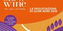 Vino, Guida “Slow Wine 2026” assegna 11 Chiocciole alla Lombardia