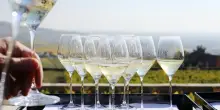Il dimenticato Chardonnay rosa ritrova il suo posto nello Champagne