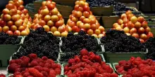 Mercati all’ingrosso: 11 mld fatturato, rete italiana in crescita