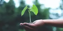 Sette le nuove startup agrifoodtech ‘accelerate’ da FoodSeed