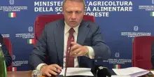 Lollobrigida: per agricoltura record stanziamenti a 15 mld