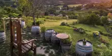 Ungheria on the road: l’autunno che profuma di vino e silenzio