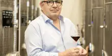 Vino, vendemmia di qualità e nuove adesioni per Cantina Torrevilla