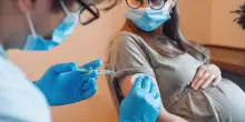 Feti perduti dopo il vaccino Covid. «Coaguli e lesioni alla placenta»
