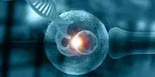 La svolta inglese: bimbi nati con tre Dna