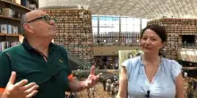 Le pillole di galateo di Petra e Carlo: regole in biblioteca