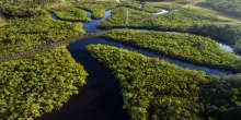 Amazzonia brasiliana risalendo il corso dei fiumi tra foreste infinite e delfini rosa