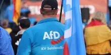 Giallo sulle elezioni locali tedesche: morti in pochi giorni sei candidati Afd