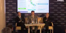 Pasquale Frega: «Le aziende capofiliera dell'Ue spingono l'industria nazionale»