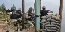 Tropico del crimine