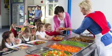 Allarme Coldiretti: no ai cibi sintetici a scuola
