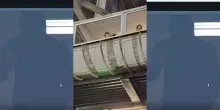 Conte scaccia via la tensione dalla tribuna: il gesto prima di Napoli-Cagliari