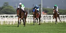 Became Good, il cavallo di Allegri corre a Capannelle