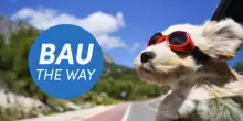 Locauto promuove "Bau the Way", dedicato per chi viaggia insieme agli animali domestici