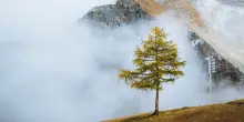Panorami, foliage e natura: esperienze d’Autunno da vivere fra le Alpi