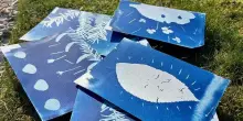 Anne Geene per un viaggio contemporaneo nella natura