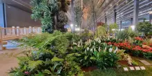 Euroflora tira le somme, quasi 200mila i visitatori