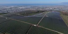 Edison inaugura a Battipaglia un nuovo impianto fotovoltaico da 27 Mw